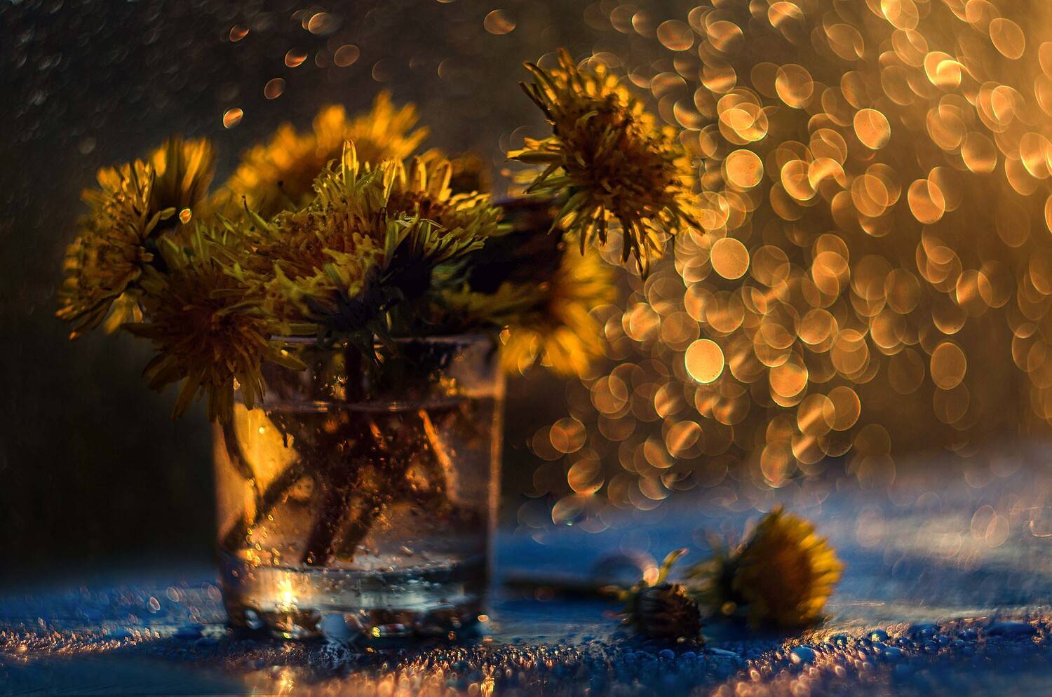 Дети солнца. Автор: Лилия Немыкина , Лилия Немыкина