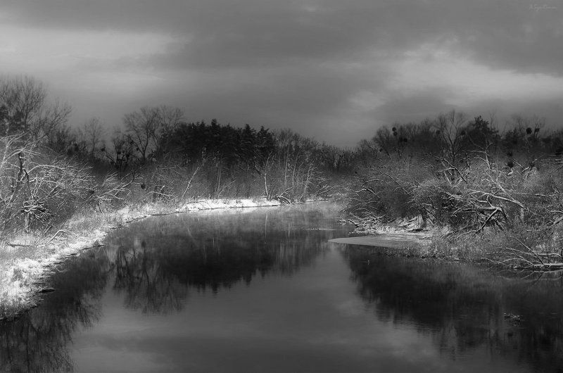 река,берега,туман,деревья ***photo preview