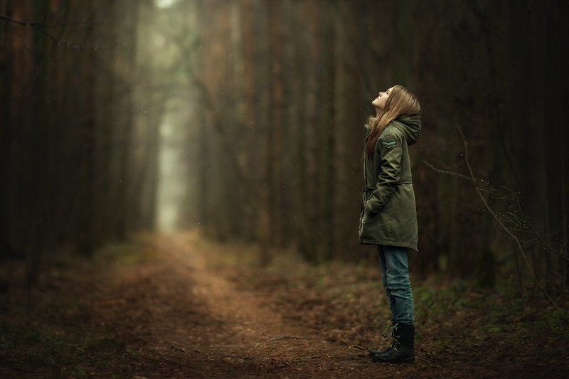 в таинственном лесуphoto preview