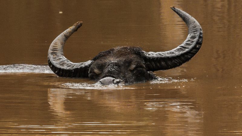 Relaxingphoto preview