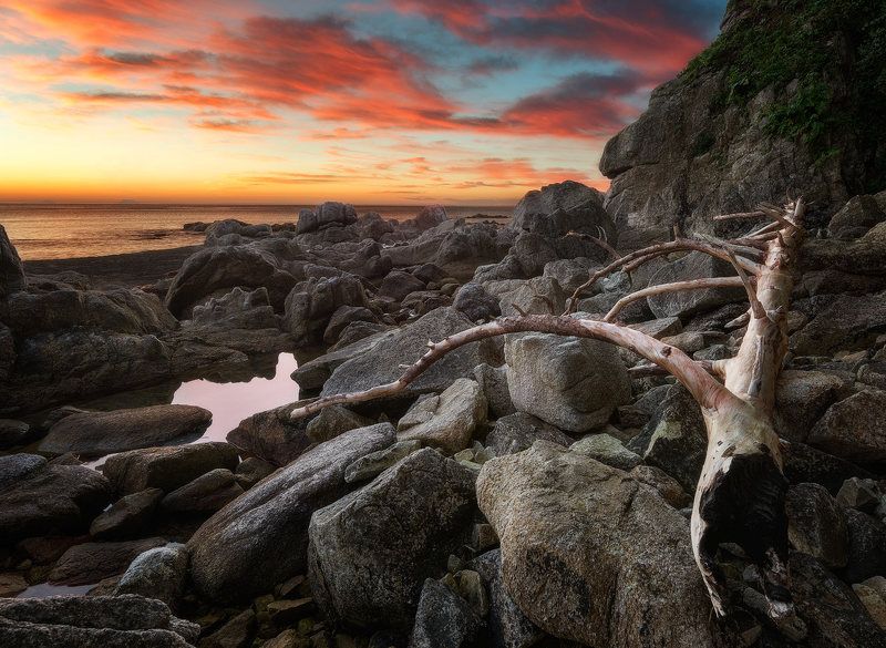 приморский край, заповедник, рассвет, море, солнце перегорелаphoto preview