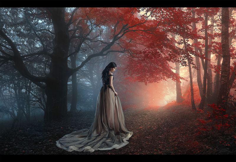 Мариphoto preview