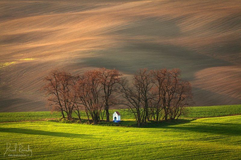 Czech Republic, Bohemia, Czech, South moravia, Moravia, moravian tuscany, Tschechische Republik, Südmähren, Mähren, Europe, tree, chapel, grove, green, brown, field, evening field, spring field, morning, morning light, countryside, mood, lines, hills, rur Moravian chapelphoto preview