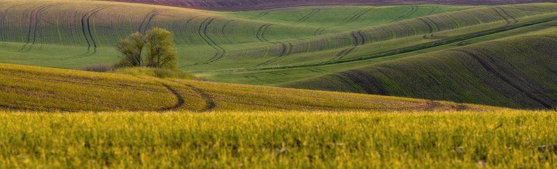 Весенние линииphoto preview