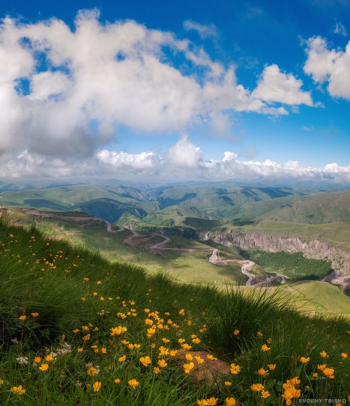 горы, кавказ, малка, Джилы-су, лютики, цветы, дорога, облака Спуск в ущелье реки Малкаphoto preview