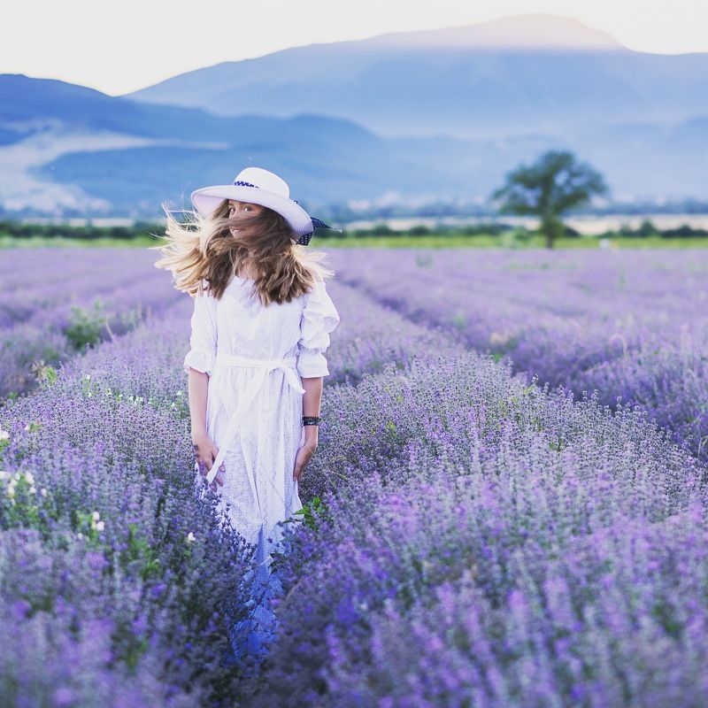 Лавандовые воспоминания о прошлом лете.photo preview