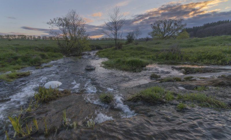 Весенняя динамика....photo preview