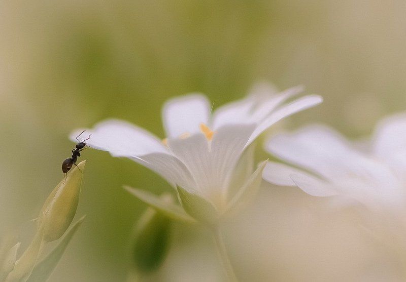 В этом огромном миреphoto preview