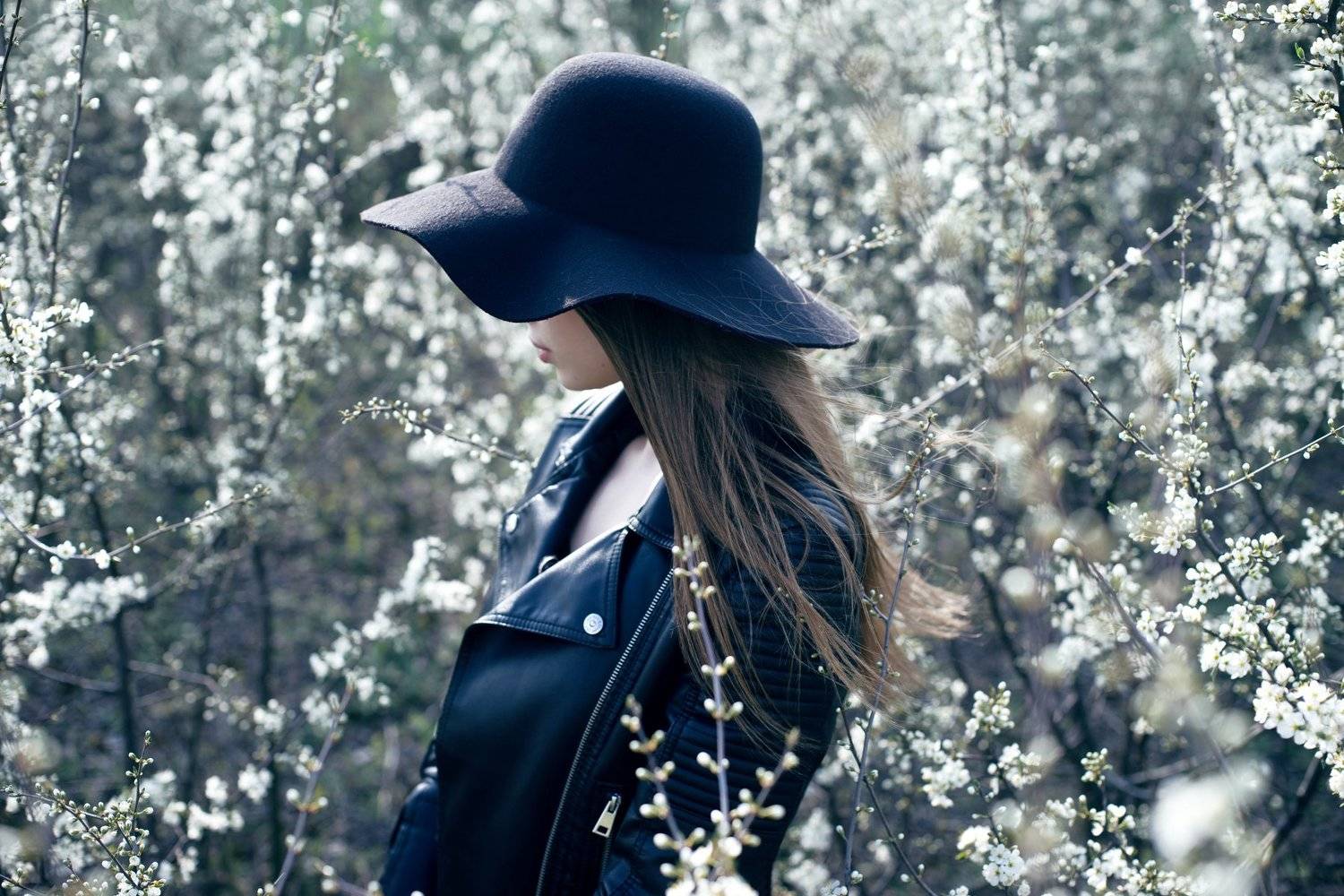 Автор: Viacheslav , Viacheslav