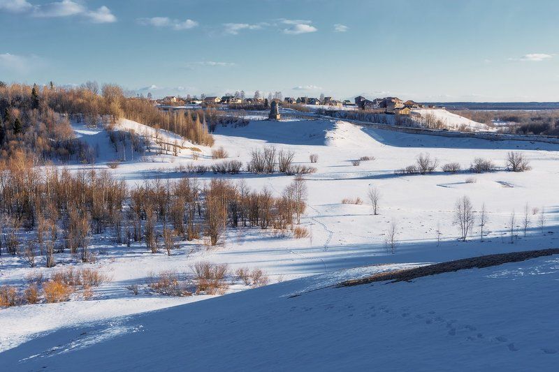 апрель снег тени лес деревья следы У вечера длинные тениphoto preview