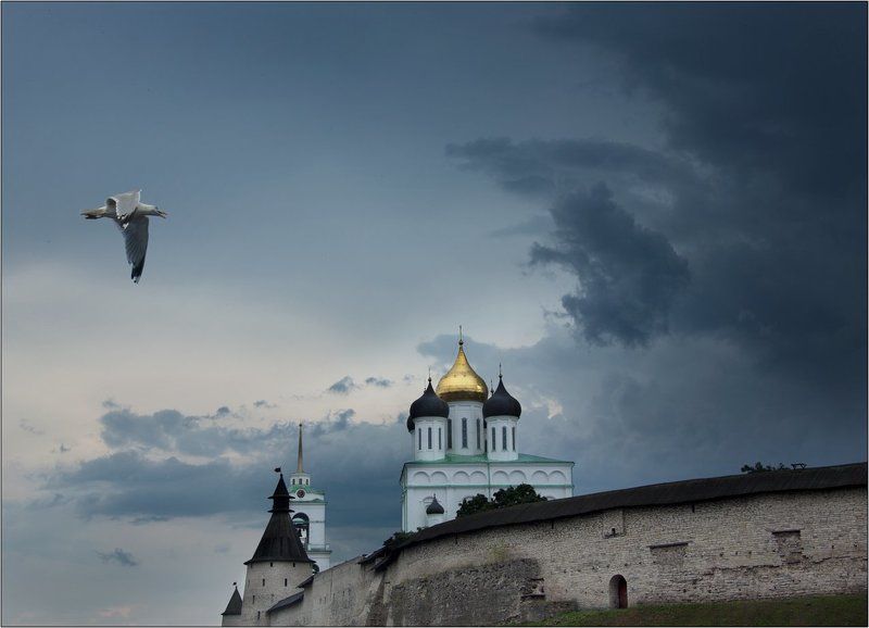 Псков кремль туча гроза чайка К грозеphoto preview