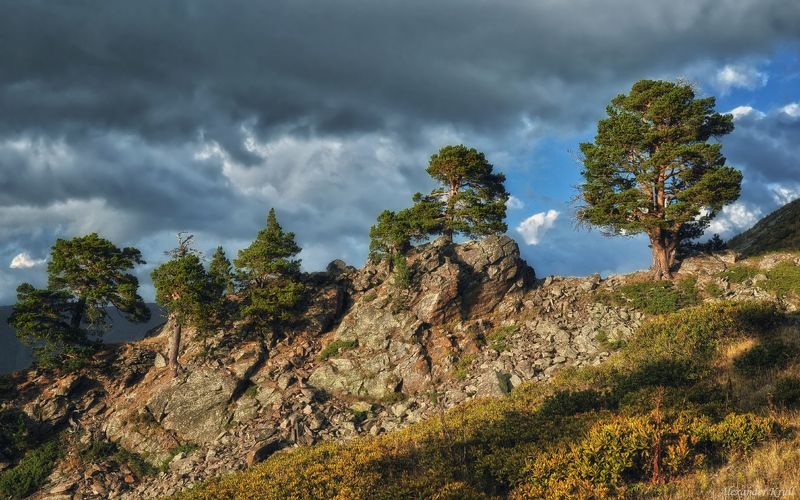 На скалистой грядке... фото превью