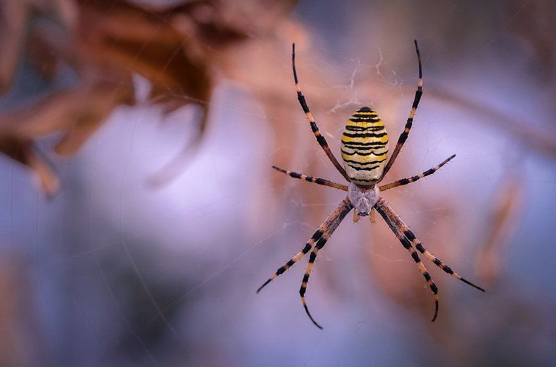 В ожиданииphoto preview