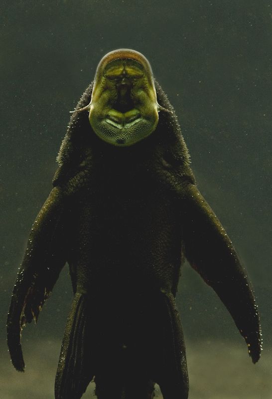 untitled#12photo preview