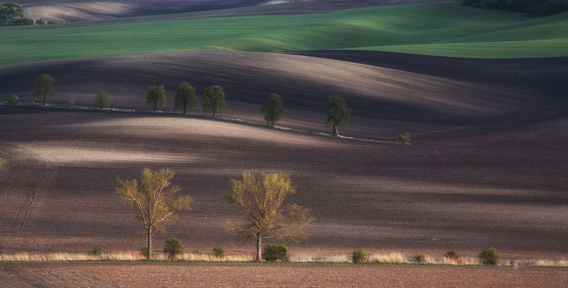 поле весна чехия Моравская классикаphoto preview