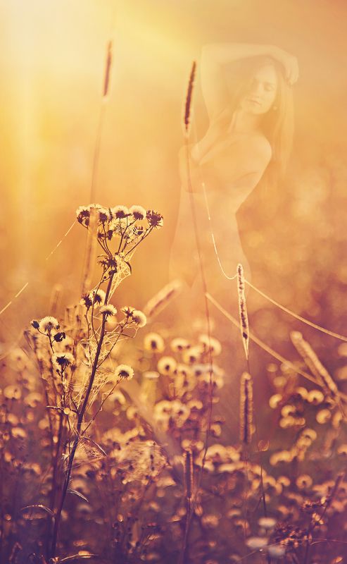 Morningphoto preview