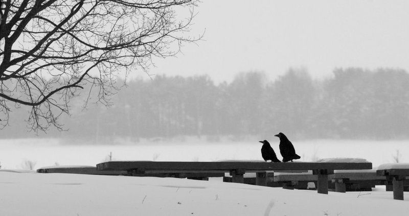 Любовьphoto preview