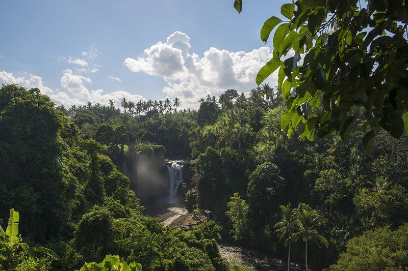 Тропический водопад photo preview