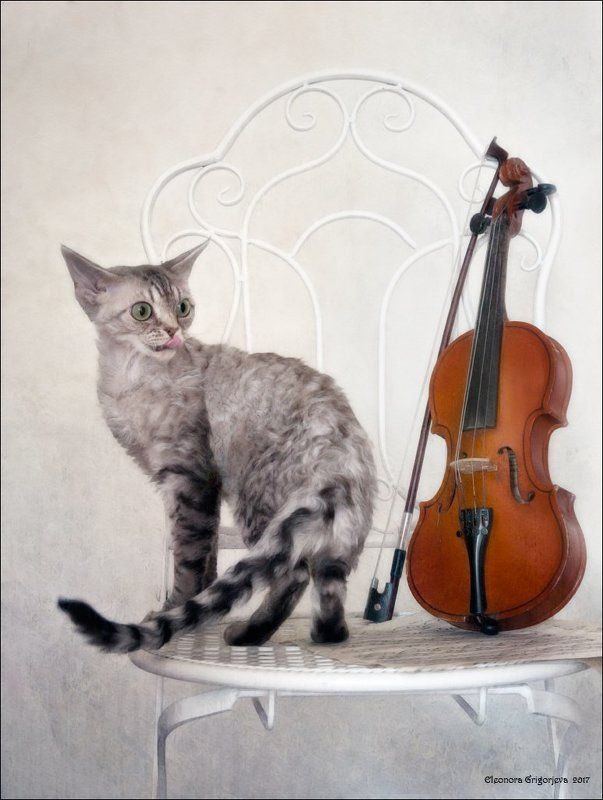 Сыграй мне веснуphoto preview