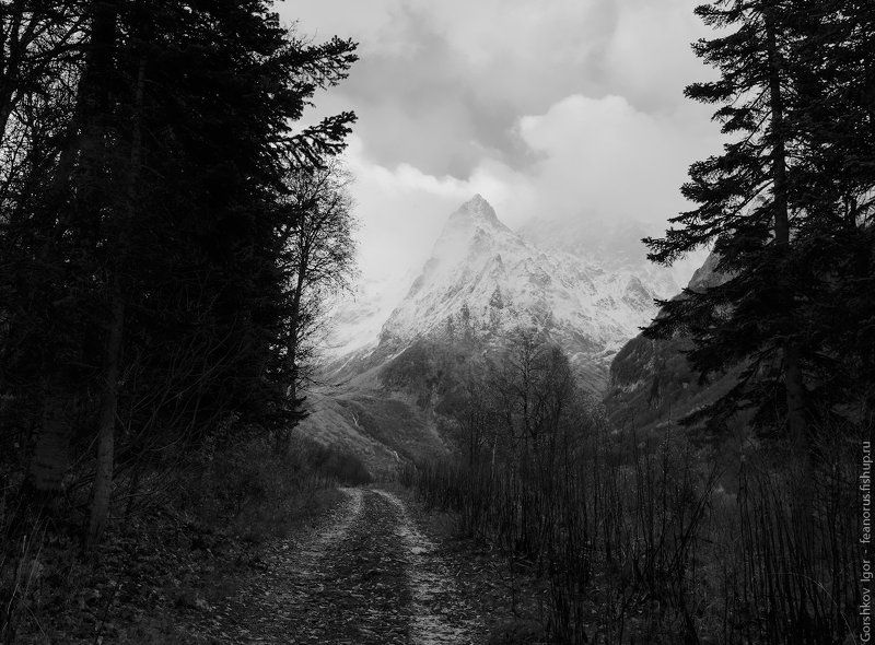 горы,кавказ,домбай,дорога,чб,тучи,ущелье,пейзаж Дорога в ущельеphoto preview