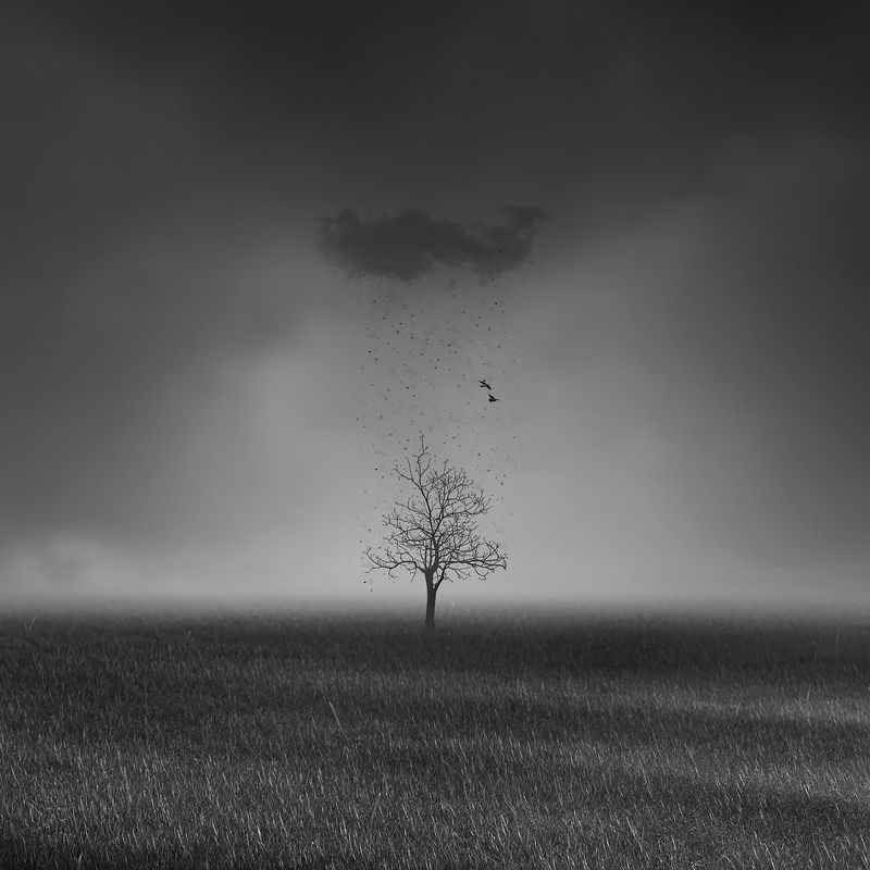 #man, #cloudly, #bnw, #fine_art, #sky, #cloud, #mehrzad_photo, #hossein_mehrzad, #black_and_white, #b&w, #editing, #photoshop, #creative, #photo_art, #digital, #mehrzad, #photography, #creative_art, #consept_art, #freedom, #woman, #blood, #pesonal, #crush Black rainphoto preview