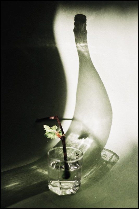 Кривая да Нелёгкаяphoto preview