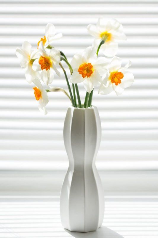 Тени весныphoto preview