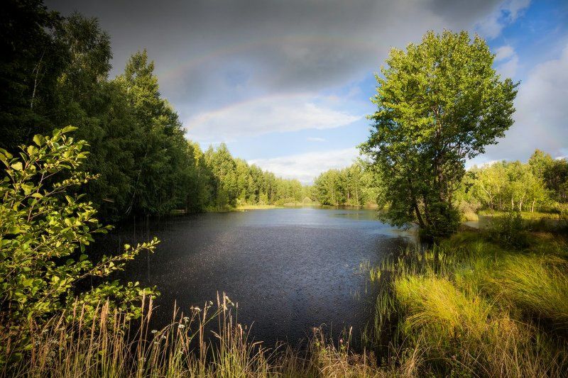 озеро, лес, радуга, ливень, вечер, благодать Летняя сказкаphoto preview