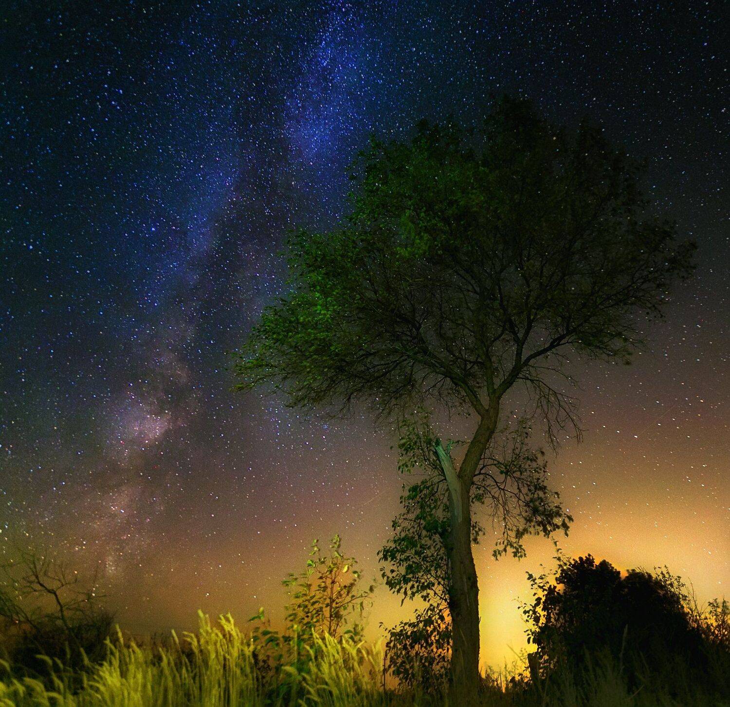 Ночь под звёздами. Автор: Павел Сагайдак , Павел Сагайдак