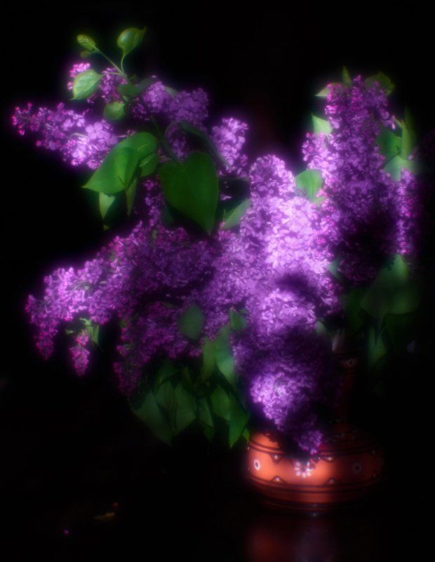 Сиреньphoto preview