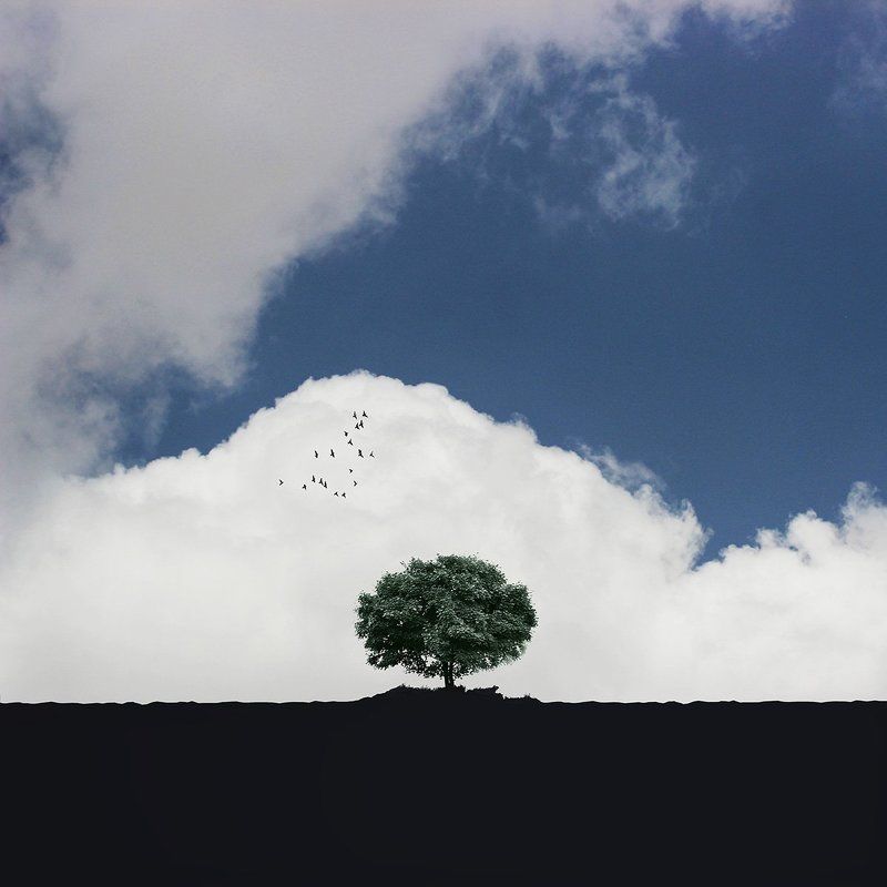 creative, fineart, conceptual, tree, gree, birds, landscape, blue, minimal,  Blueskyphoto preview