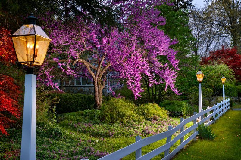 Spring by the Lightphoto preview