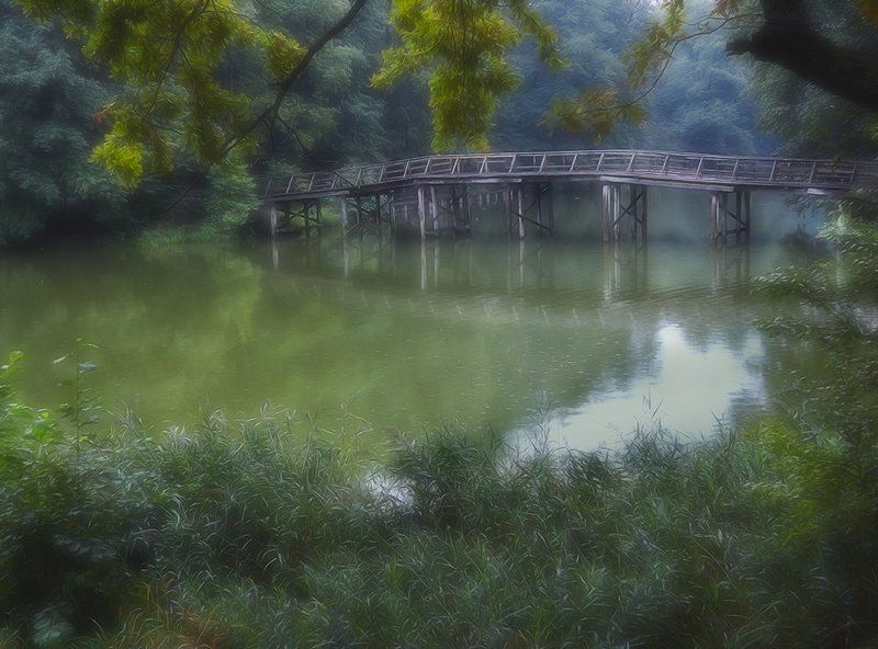 старый паркphoto preview