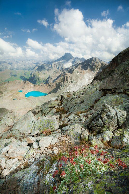 софия, архыз, карачаево-черкесия, кавказ Гора Софияphoto preview