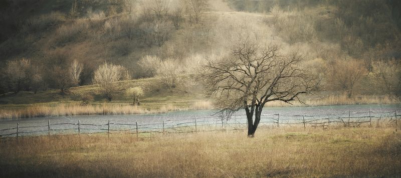 Последние дни осени фото превью