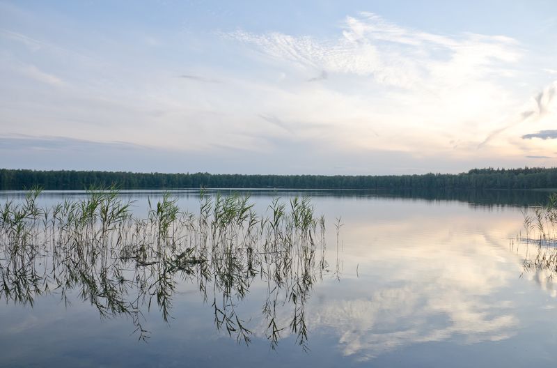 озеро, тишина, гармония, лето, тепло, нежность, голубой, вода, тростник Тишинаphoto preview