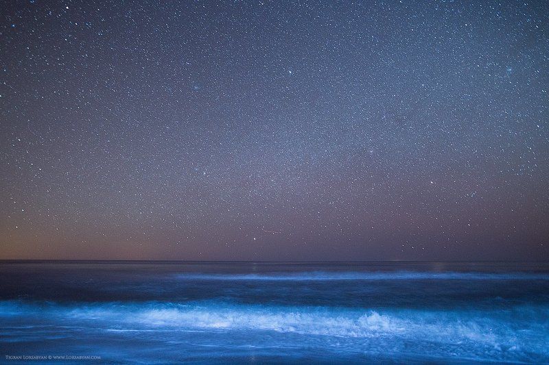 Black Seaphoto preview