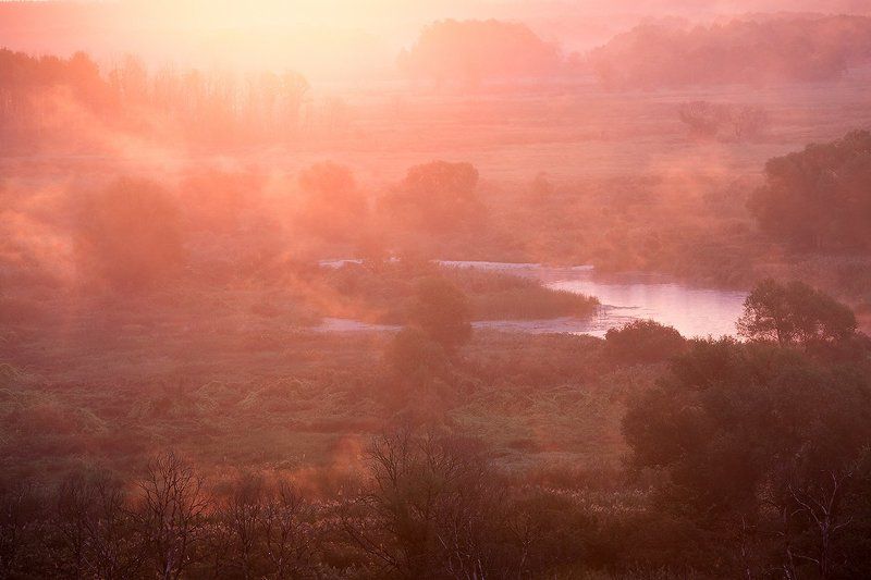 Розовое утро.photo preview