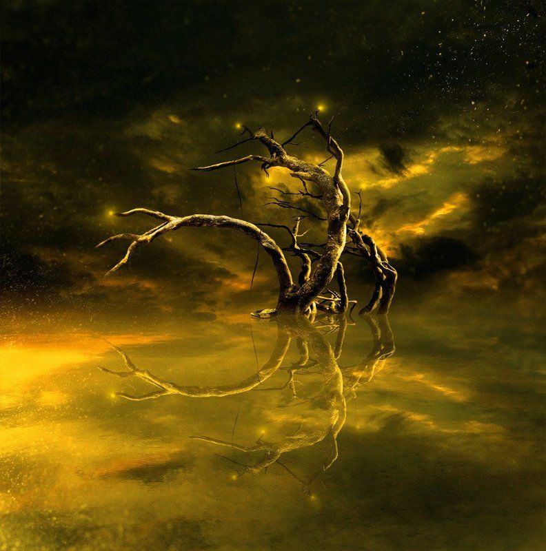 арт, пейзаж, коллаж Тернистый свет... 2photo preview