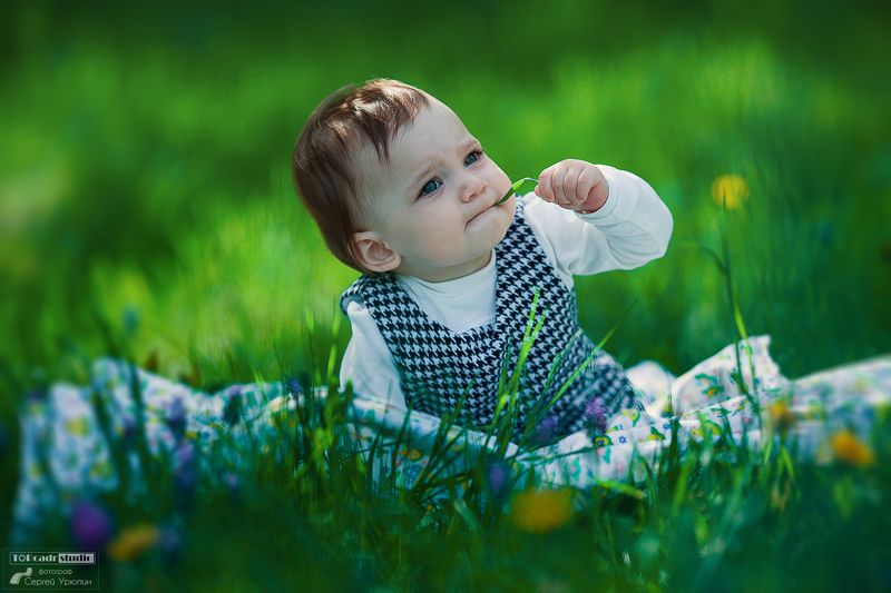 Какова природа на вкусphoto preview