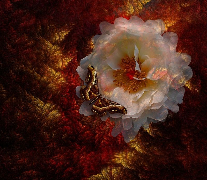 Magicalphoto preview