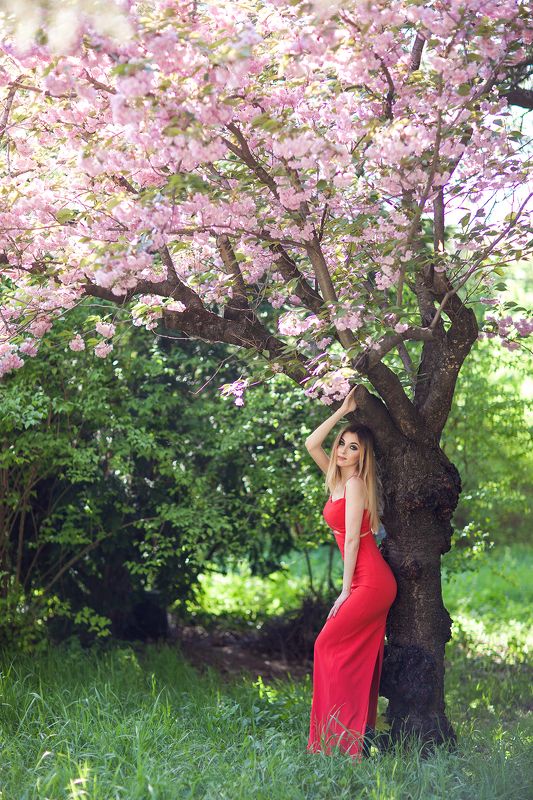 фотосессия, сакура, красота, красное, платье, девушка, макияж, парк, цветы, весна, Симферополь, фотограф, Пекшева Евгенияphoto preview