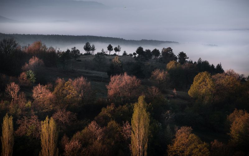 landscape, mist, fog, rain, sunrise, pirin, bulgaria, mountain, spring, light, haze, panorama, trees, forrest, hills Foggy Landschaftphoto preview
