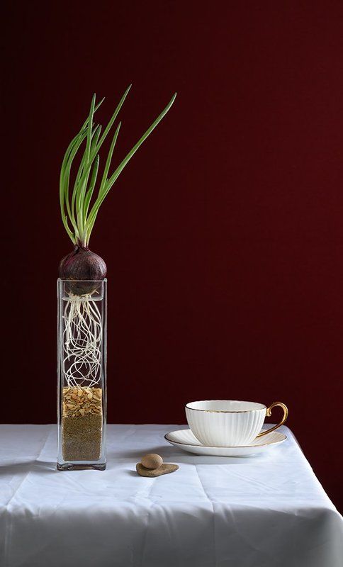 композиция, натюрморт «композиция»photo preview