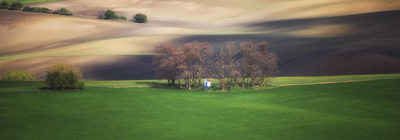 поле волны весна чехия Каплица Мистринphoto preview