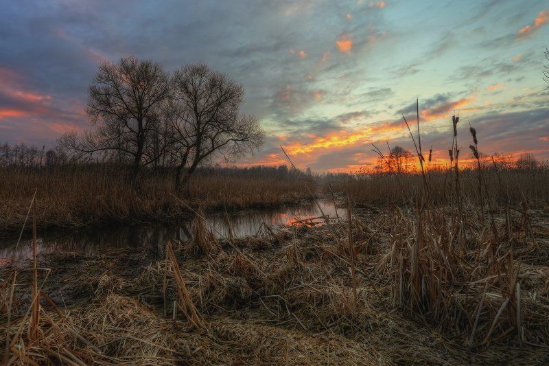 весна,небо,вечер,закат Мартовский вечерокphoto preview