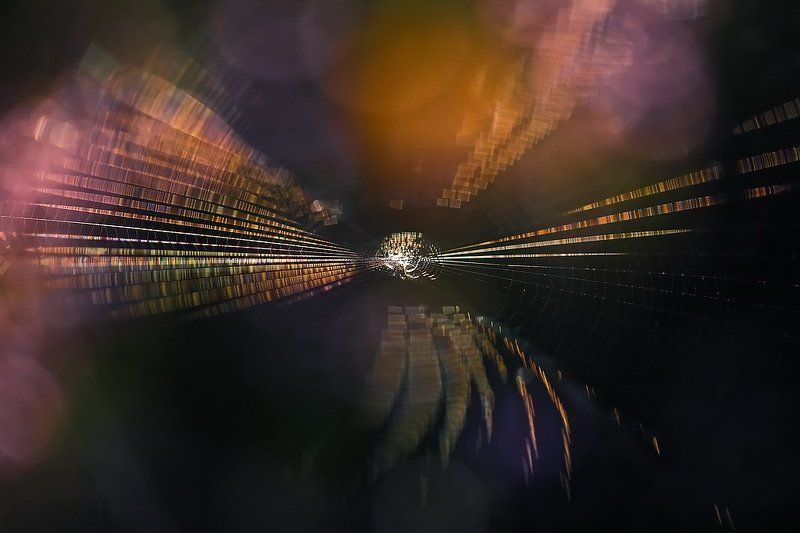 Лазерное шоуphoto preview