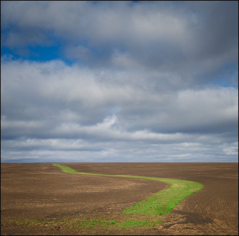 узоры ранней весныphoto preview