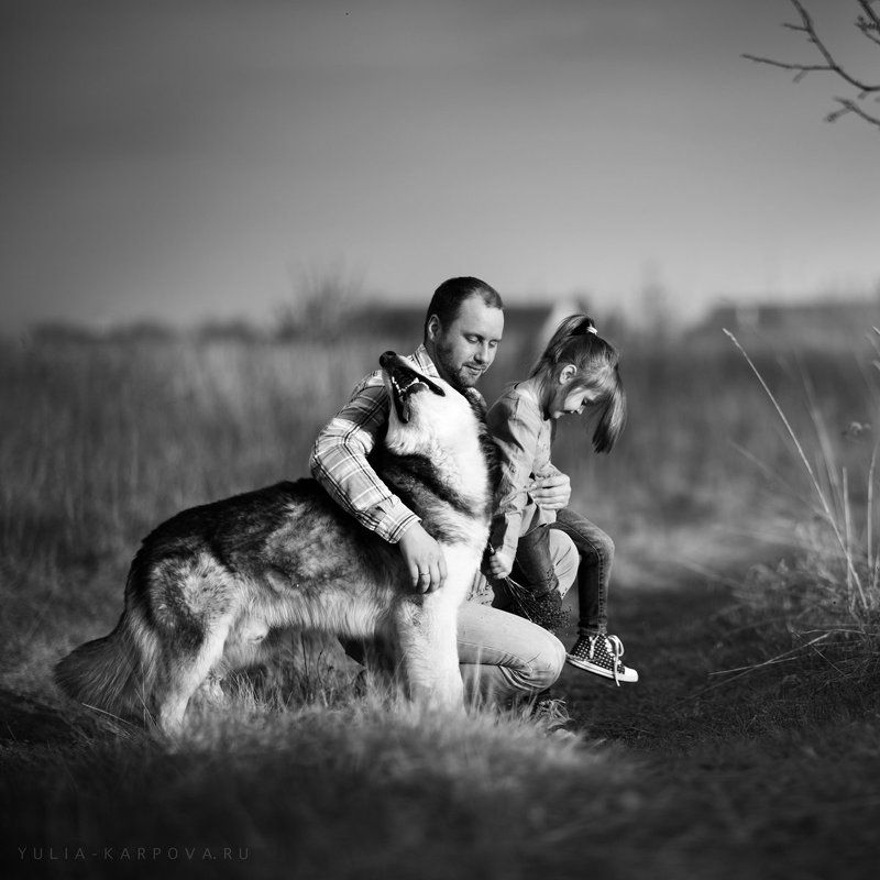 child, family, childhood, kid, summertime, dog  ***photo preview
