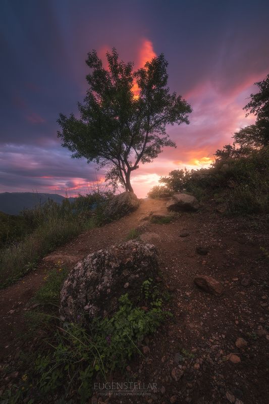 вечер, закат, облака, дерево, крым, демерджи, долина привидений, камни Вечер в Долине Привидений.photo preview